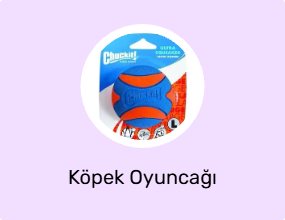 Köpek Oyuncağı