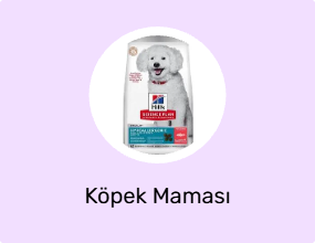 Köpek Maması
