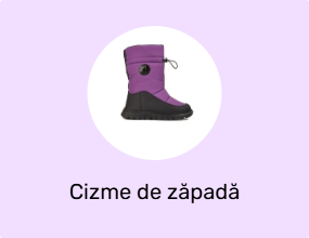 Cizme de zăpadă