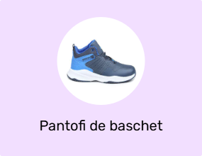 Pantofi de baschet