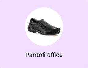 Pantofi office