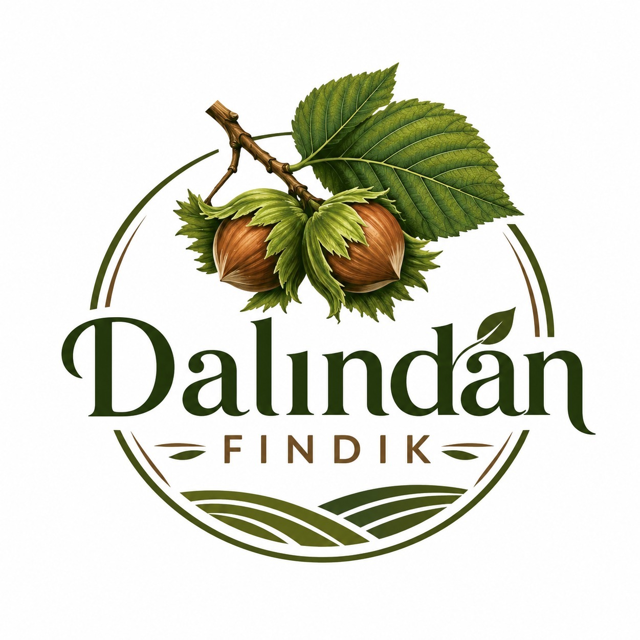 Dalındanfındık