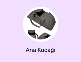 Ana Kucağı