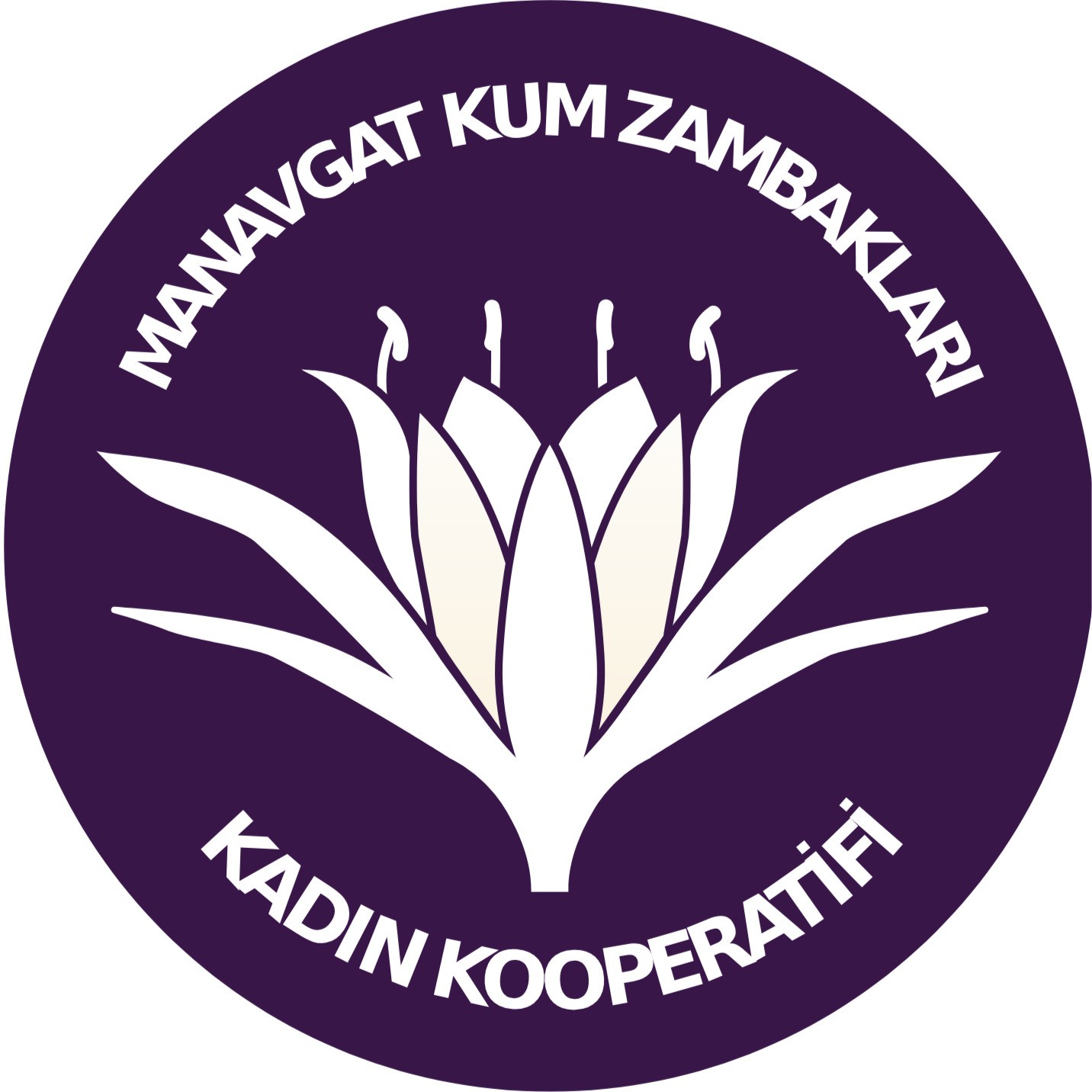 Kum Zambakları