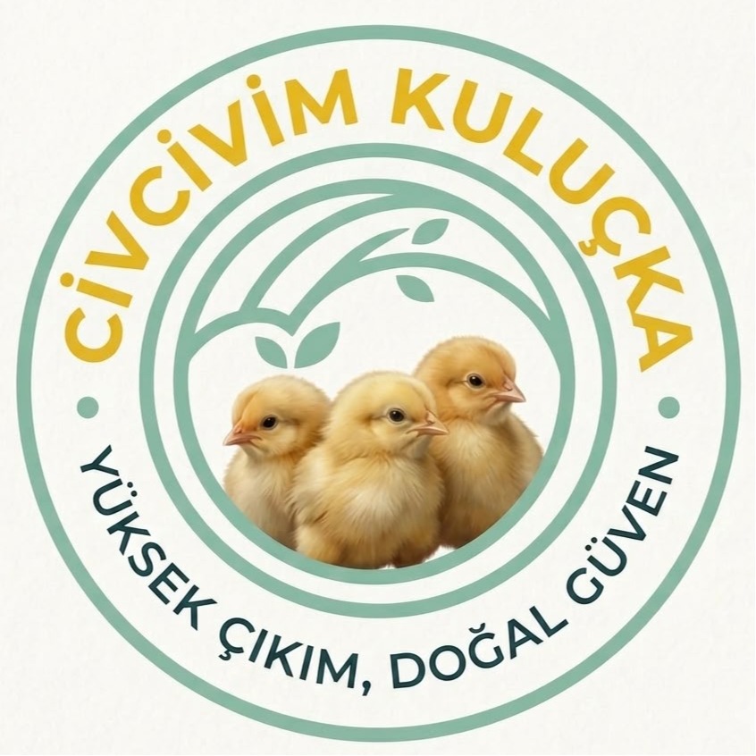 Civcivim Kuluçka