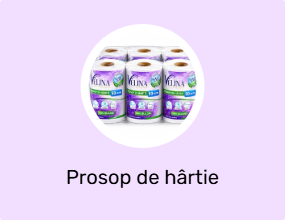 Prosop de hârtie