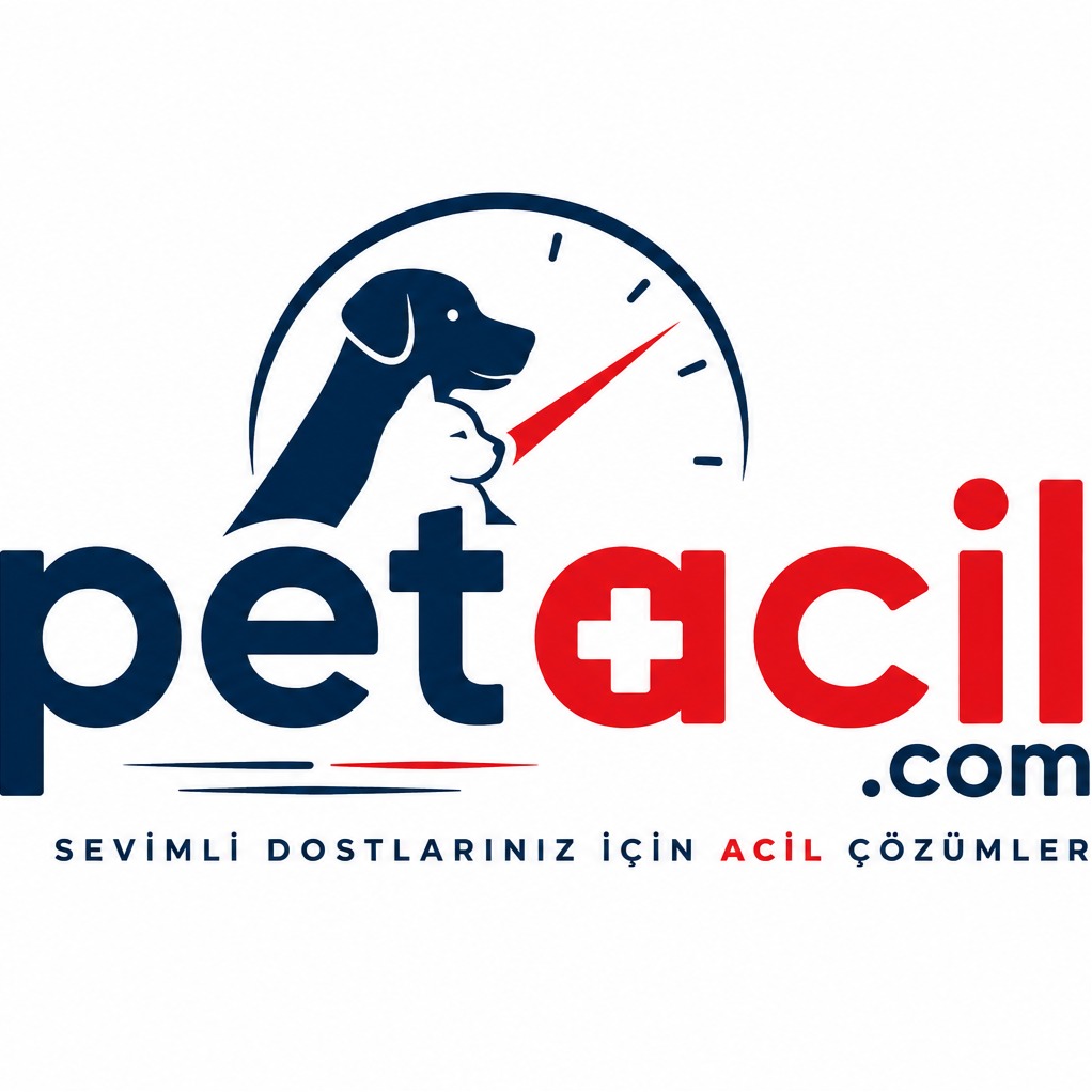 Petacil