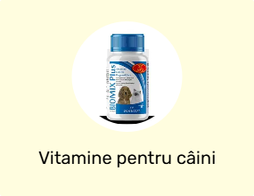 Vitamine pentru câini