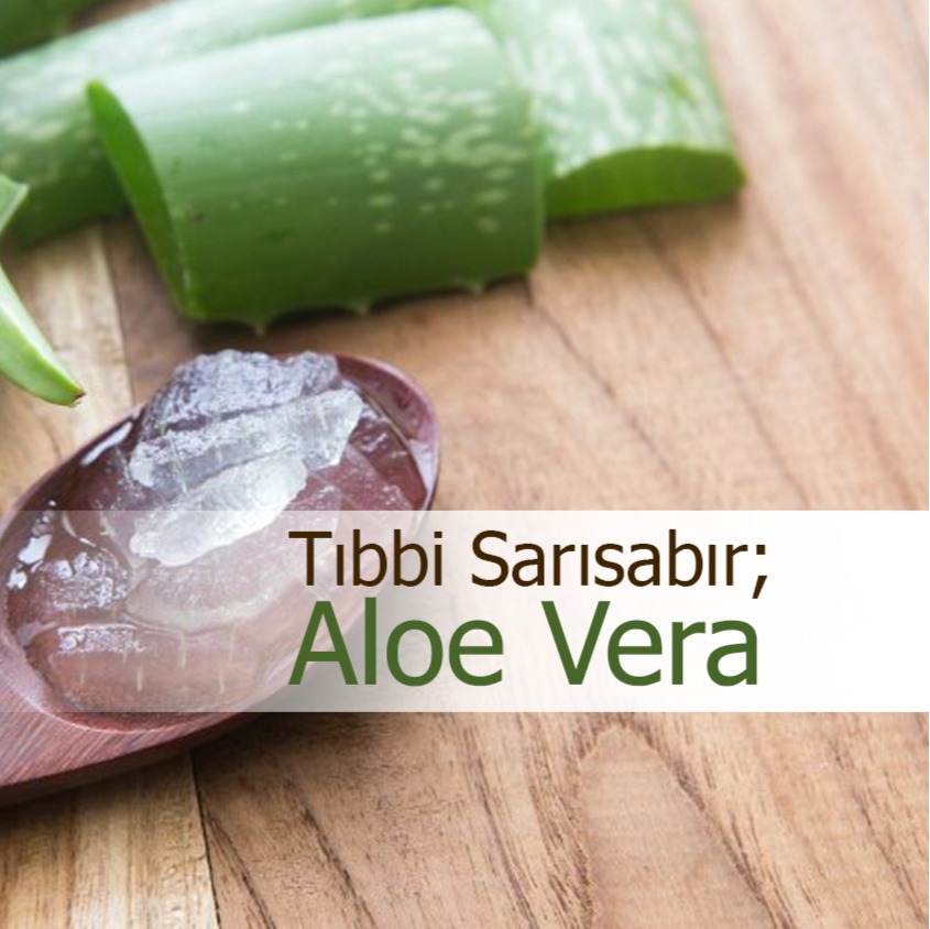 Aloe Vera Trend