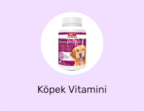Köpek Vitamini