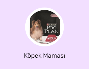 Köpek Maması