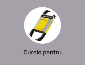 Curele pentru motocicletă