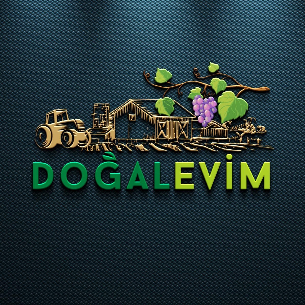 DogalEvim
