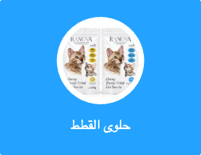 حلوى القطط