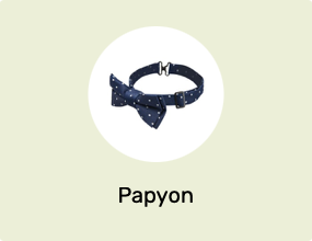 Papyon