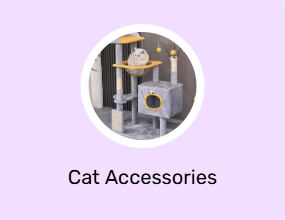 Cat Accessories