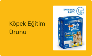 Köpek Eğitim Ürünü