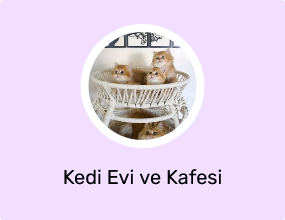 Kedi Evi ve Kafesi