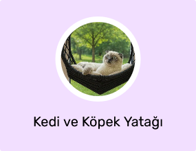Kedi ve Köpek Yatağı