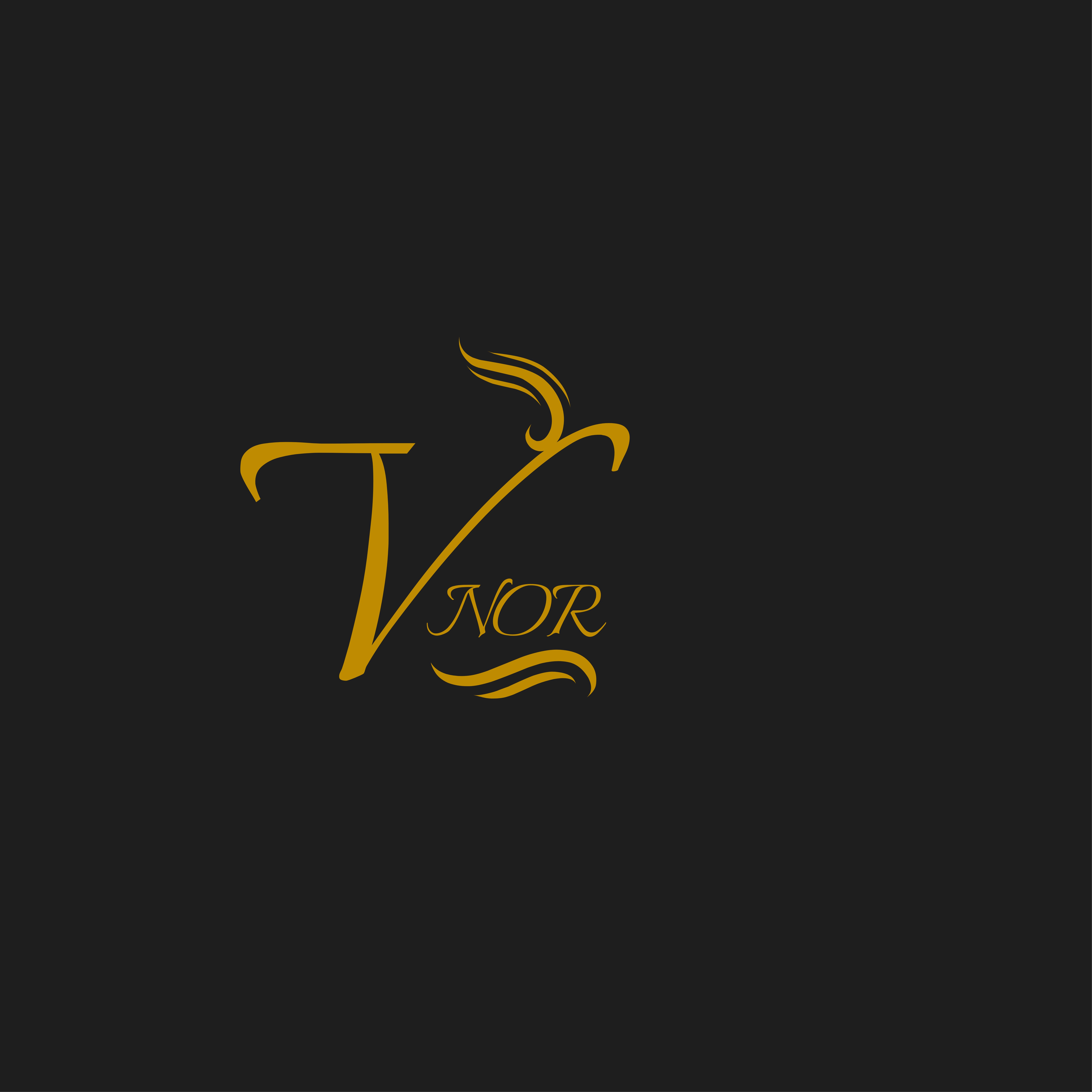 Vnor