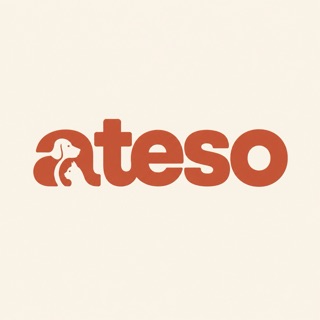Ateso Konsept