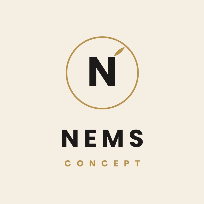 NEMS CONCEPT