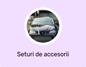 Grilă tip fagure Ibiza 6 L (2002–2008)