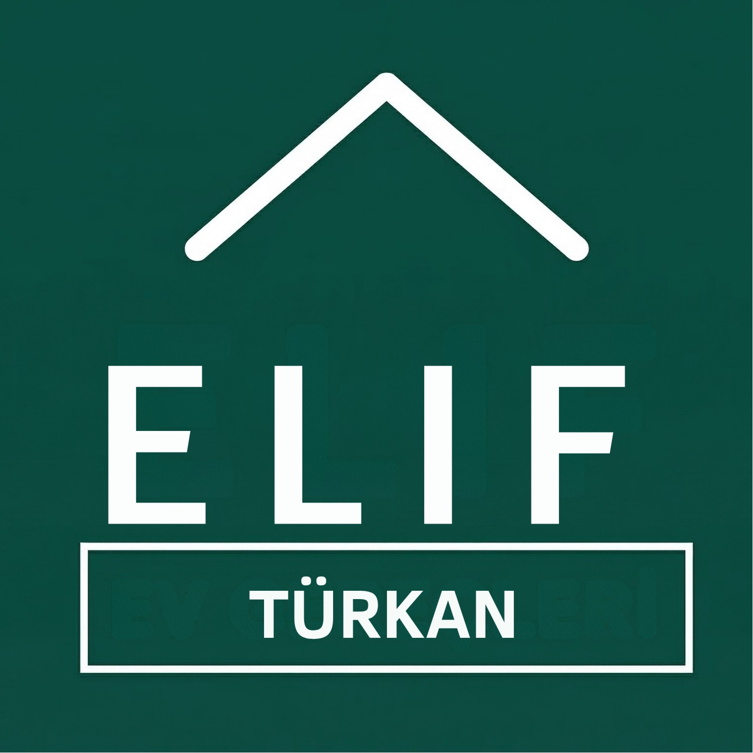 Elif Türkan