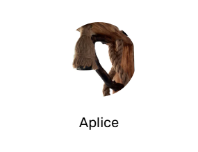 Aplice