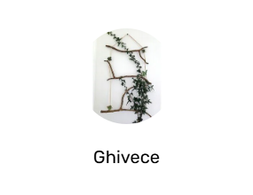 Ghivece