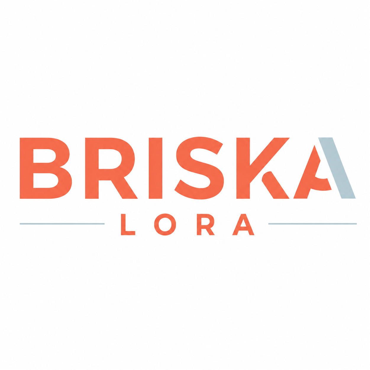BRISKA LORA logo