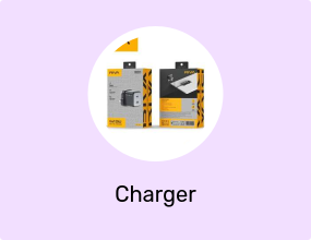 25W USB-C Fast Charger | Safe Charging Adapter | RV1-C20