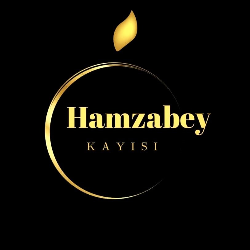 HAMZABEY KAYISI