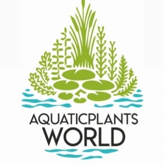 Aquaticplant