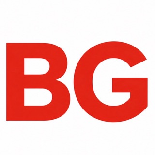 BG ELEKTRONİK