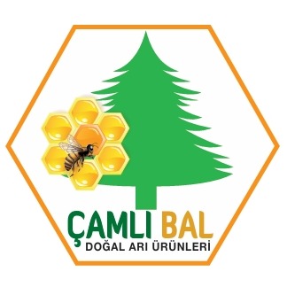 ÇAMLI BAL VE ARI ÜRÜNLERİ