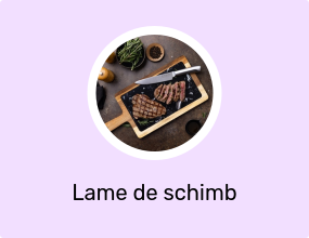 Lame de schimb