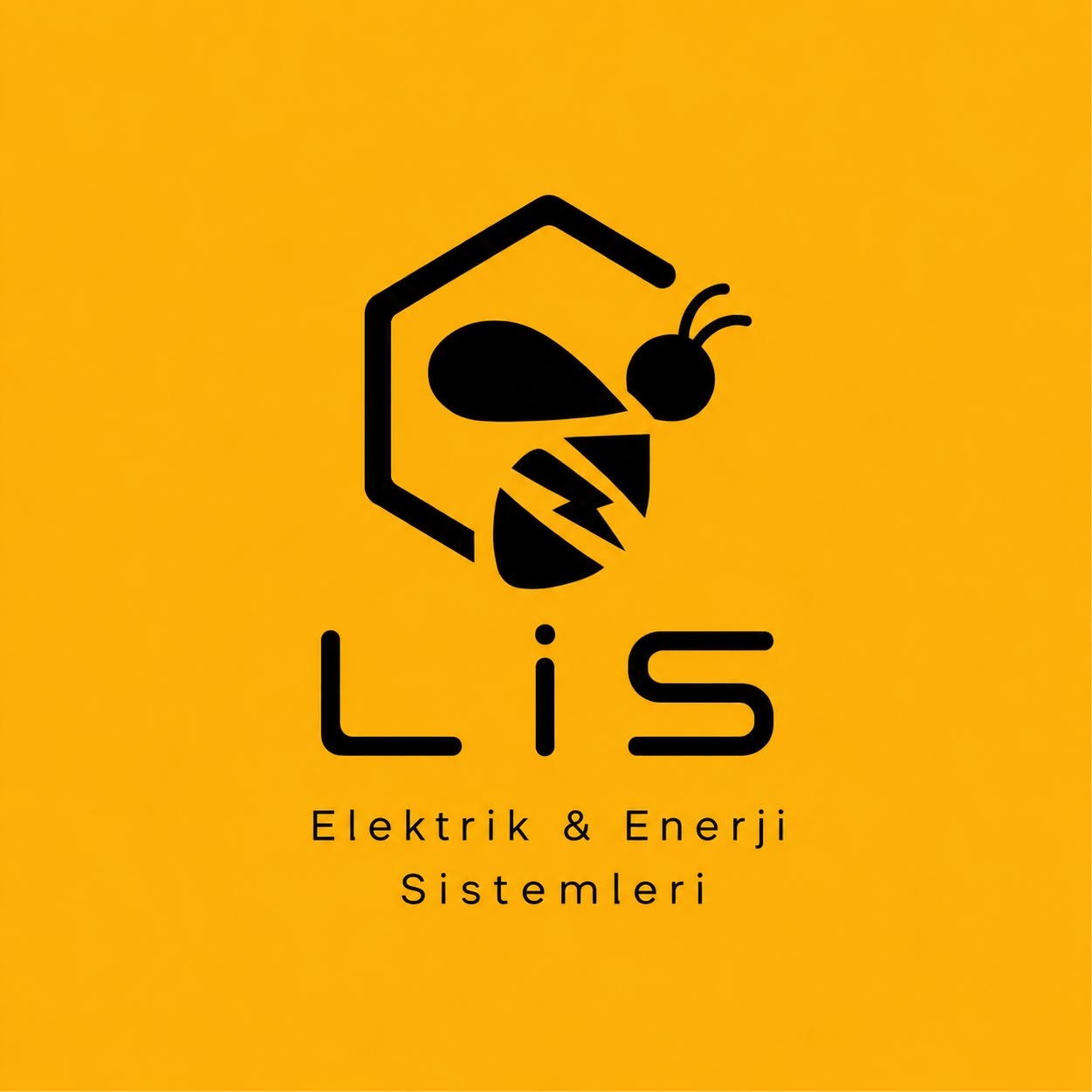 Lis Elektrik