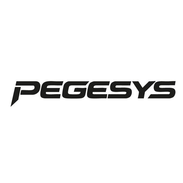 PEGESYS