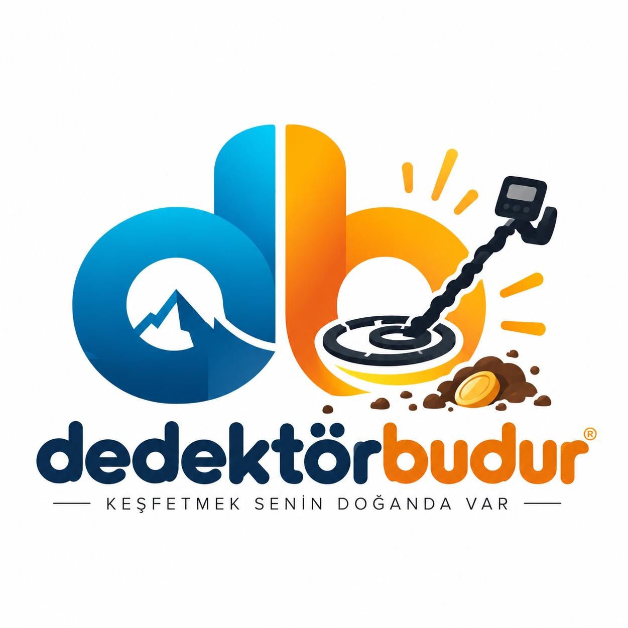 Dedektörbudur
