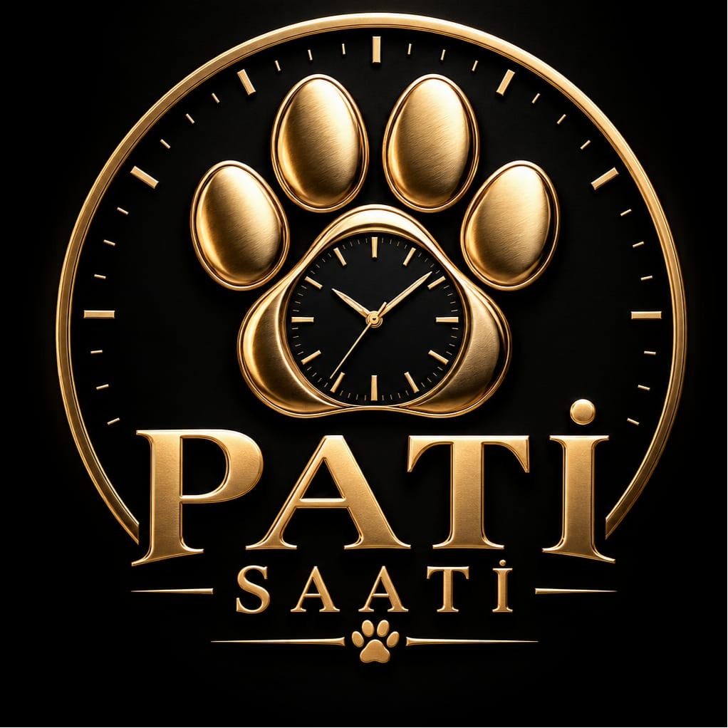 Pati Saati