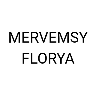 MERVEMSY FLORYA