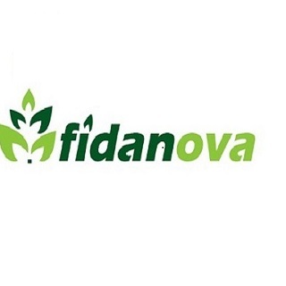 fidanovafidan logo