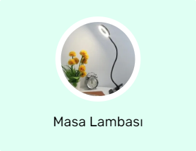 Masa Lambası