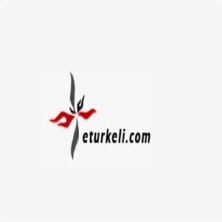 TÜRKELİ DIŞ TİCARET logo