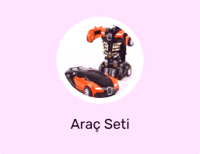 Araç Seti