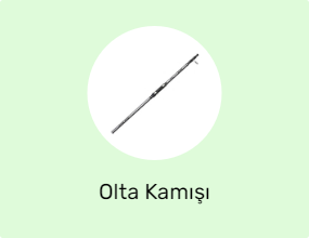 Olta Kamışı