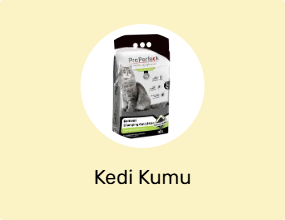Kedi Kumu