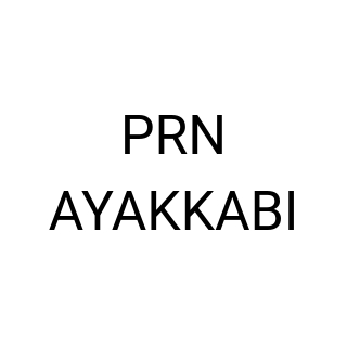 PRN AYAKKABI