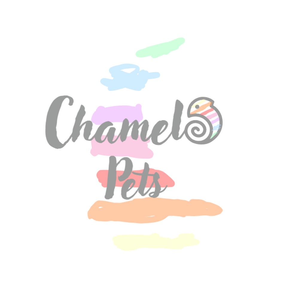 Chamelo Pets